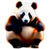 Panda Bear