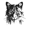 Chat 3