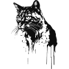 Cat 2