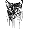 Chat 7