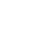 Cat 4
