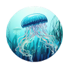 Jellyfish