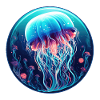 Jellyfish