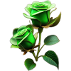 Green roses