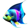 Angelfish