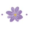 Keep calm and grow violets