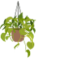 It all started with photos