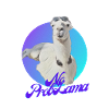 No Problama