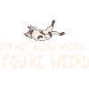 No estoy siendo raro Eres raro Gato Papá Mamá Meme
