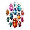Aquarelles froides Insectes coléoptères bohèmes