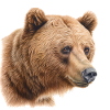 Ours