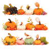 Pumpkin Rowa