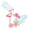 flamingos