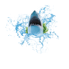 Requin Poisson