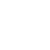 Future City Design – Bronx white