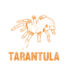 Tarentule Tarentules