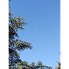 Lune matinale et avion
