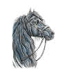 Pferd Portrait