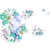Fleurs,Fleur,Printemps,Fleurs