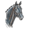 Horse Portrait Totilas