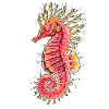 Hippocampe
