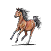 Brown horse gallop