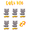 Cat's life