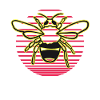 Abeille pour apiculteurs et apiculteurs