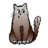 Funny Cat
