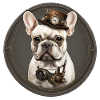 frenchie Steam