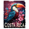 Costa Rica retro style