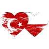 Turkey Poland Flag