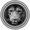 Lion circles black white grayscale