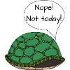 Turtle "Nope! Not today!"