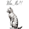 Cat Who Me