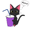 Verspielte Katzenillustration mit Getränk