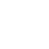 Whale Sea Fish