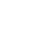 Whale Sea Fish