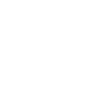 Whale Sea Fish