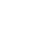 Whale Sea Fish