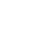Whale Sea Fish