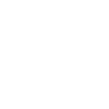 Whale Sea Fish
