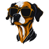 Cool dog with sunglasses