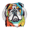 Englische Bulldogge bunt