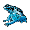 Shiny Blue Spotted Frog