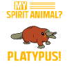 Platypus Schnabeltier