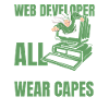 Web Developer Web Developer Superhero