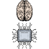 Brain and Chip