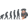 Evolution Rottweiler