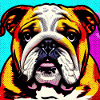 Bulldog PopArt